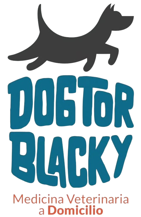 Dogtor Blacky — Medicina Veterinaria a Domicilio